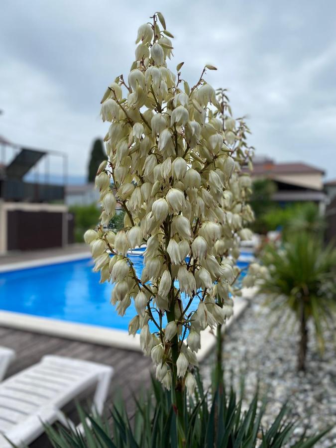 Hotel Solntse Abkhazii Lidzava Eksteriør billede